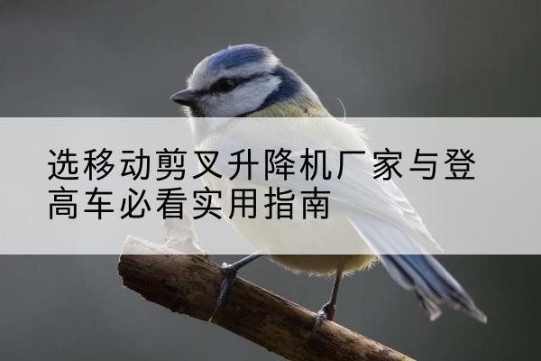 石龙电动升降机厂家-选移动剪叉升降机厂家与登高车必看实用指南