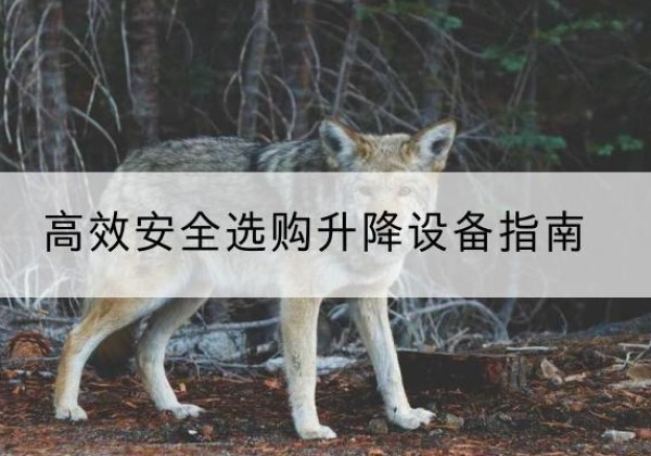 石龙升降货梯厂家推荐-*安全选购升降设备指南