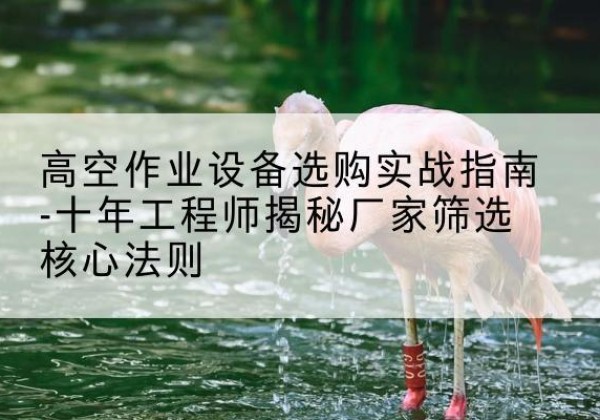 石龙剪叉式升降机厂家-高空作业设备选购实战指南-十年工程师揭秘厂家筛选核心法则